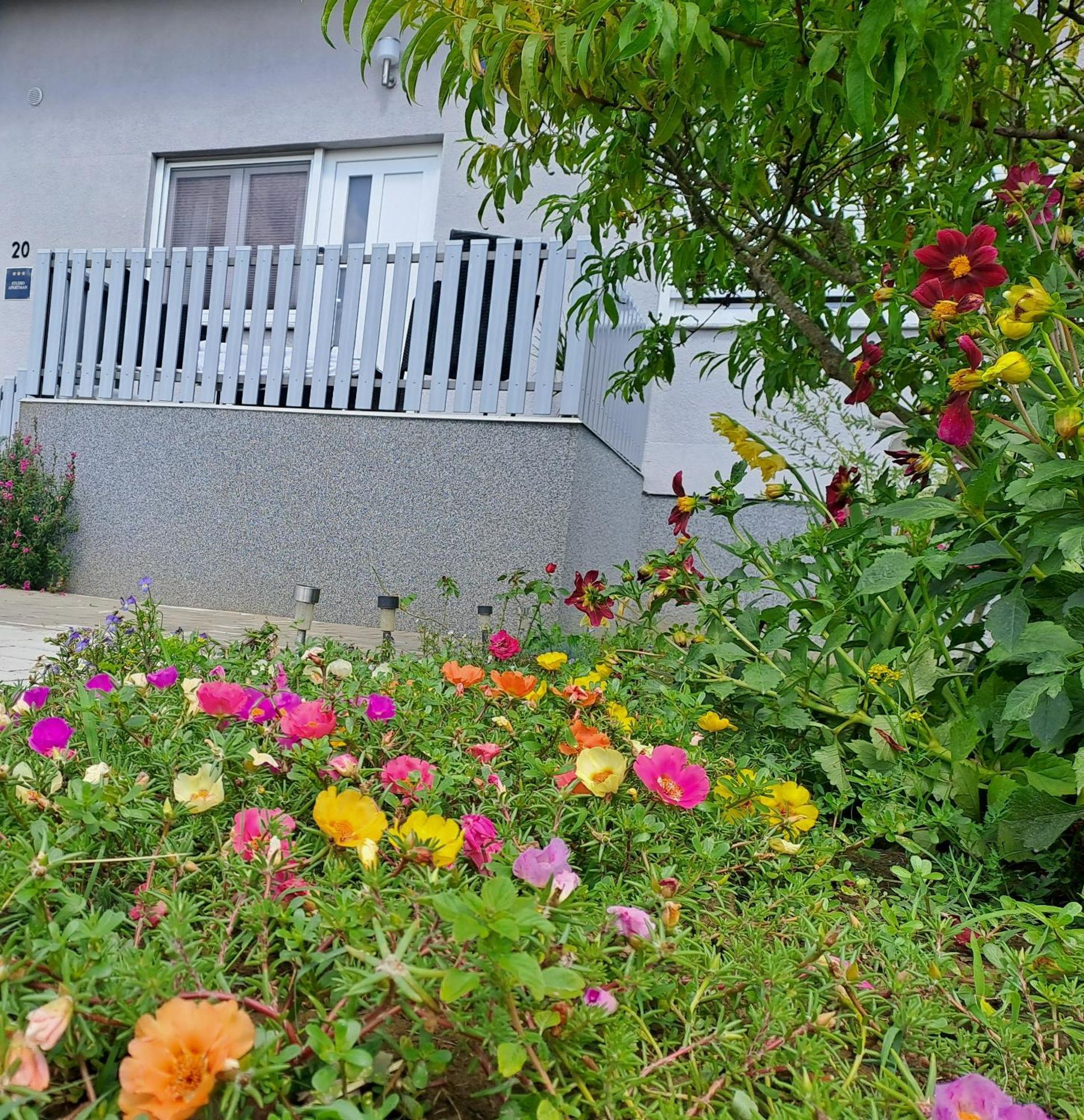Studio Apartman Draga Velika Ludina Exteriér fotografie